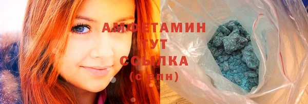 трава Гвардейск